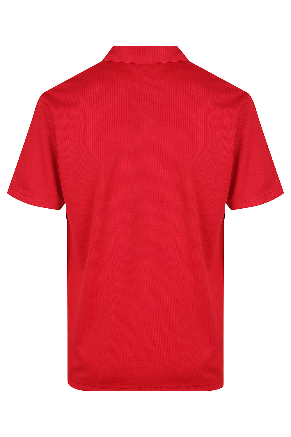 Botany Men's Polo - N1307