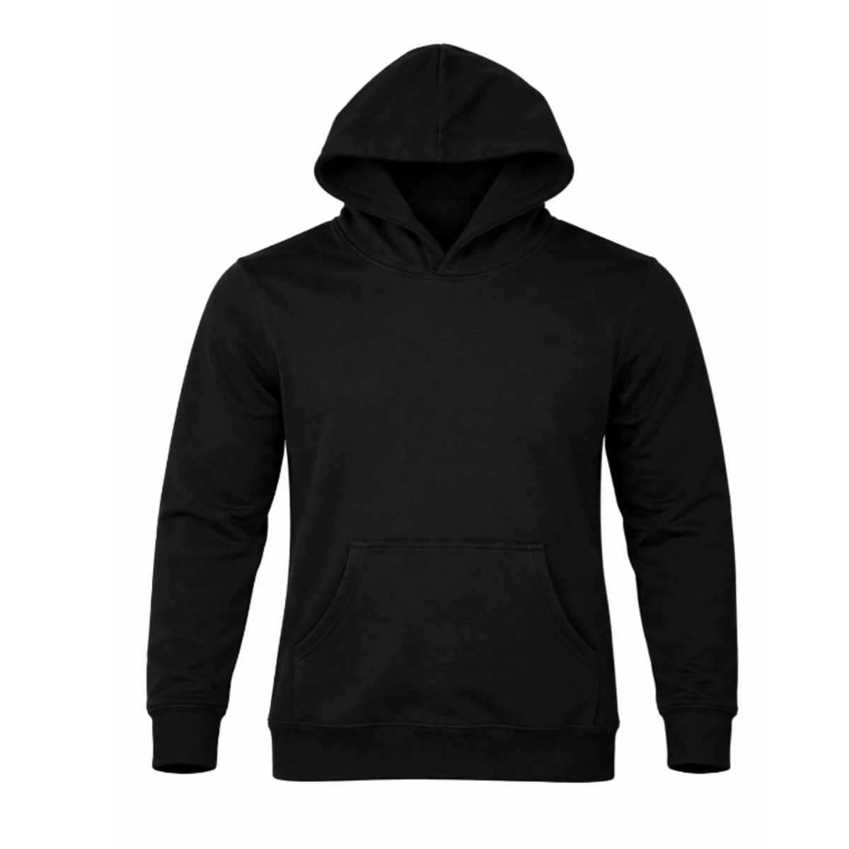 Brunswick Men's Hoodie - N1533